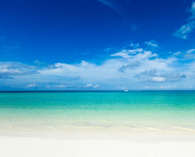 Spiaggia tropicale alle Maldive con poche palme e laguna blu