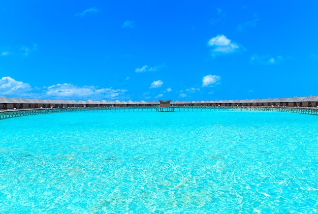 Spiaggia tropicale alle Maldive con poche palme e laguna blu