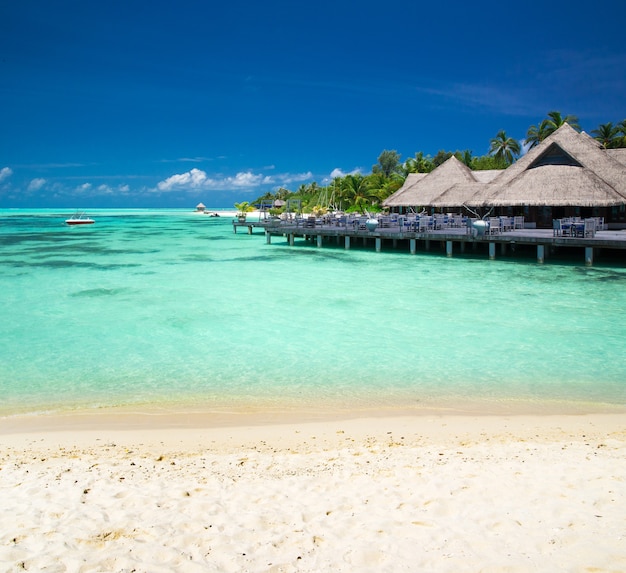 Spiaggia tropicale alle Maldive con poche palme e laguna blu