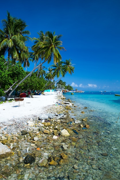 Spiaggia tropicale alle Maldive