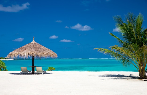 Spiaggia tropicale alle Maldive