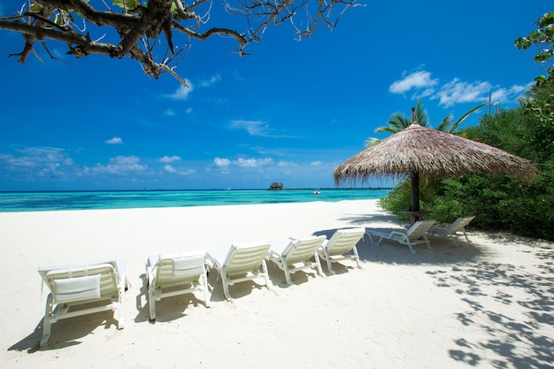 Spiaggia tropicale alle Maldive