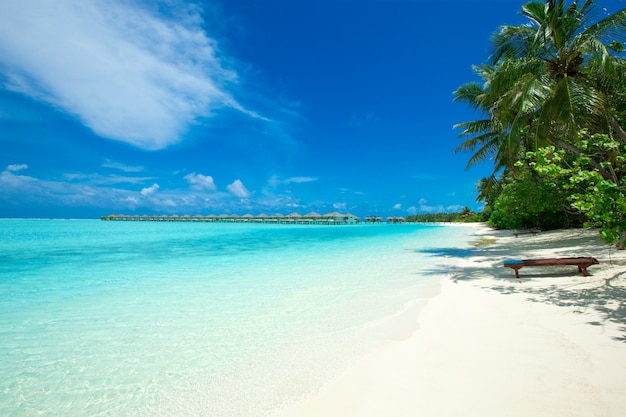 Spiaggia tropicale alle Maldive