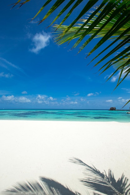 Spiaggia tropicale alle Maldive