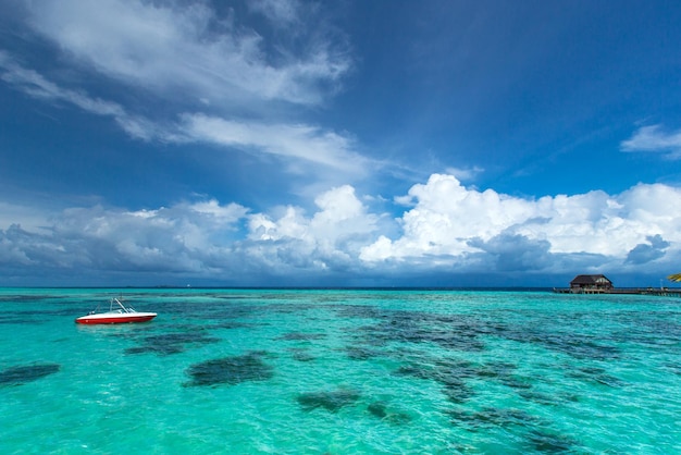 Spiaggia tropicale alle Maldive