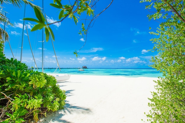 Spiaggia tropicale alle Maldive