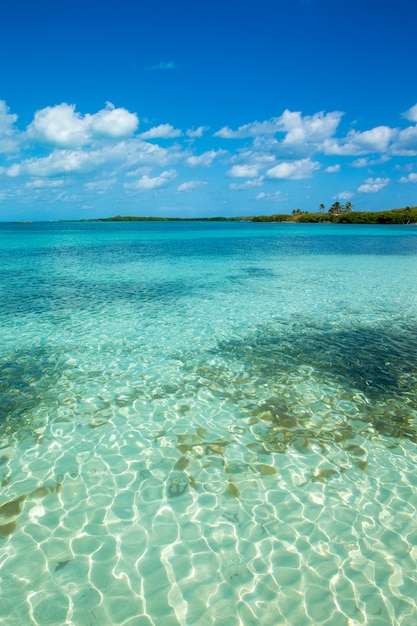 Spiaggia tropicale alle Maldive