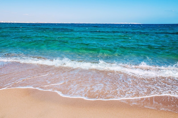 Spiaggia tropicale con mare blu. Bellissimo paesaggio estivo. Sfondo vacanza di viaggio