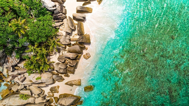 Spiaggia tropicale con mare e palme prese dal drone Foto aerea della famosa spiaggia degli squali delle Seychelles