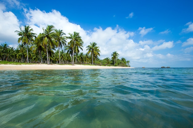 Spiaggia tropicale con palme e laguna blu