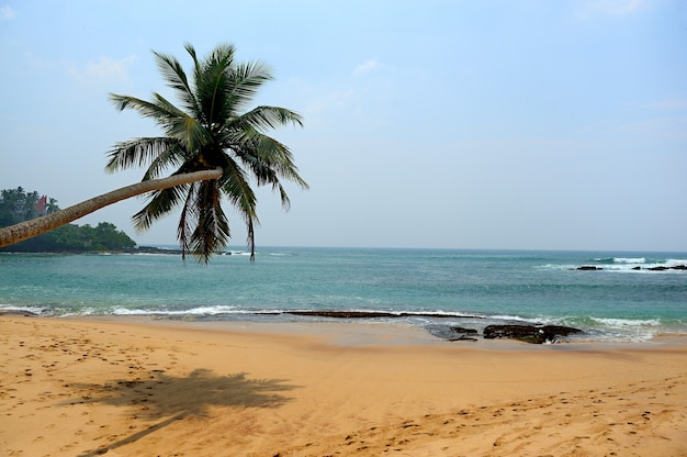 Spiaggia tropicale con palme in Sri Lanka