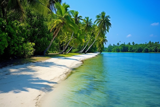 Spiaggia tropicale con passeggiate di sabbia