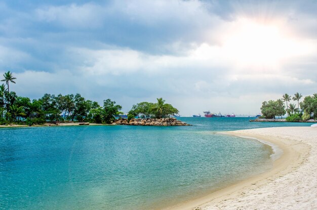 Spiaggia tropicale con sabbia vacanze estive sfondo Palme e spiaggia tropicale con sabbia bianca Sentosa Island Singapore