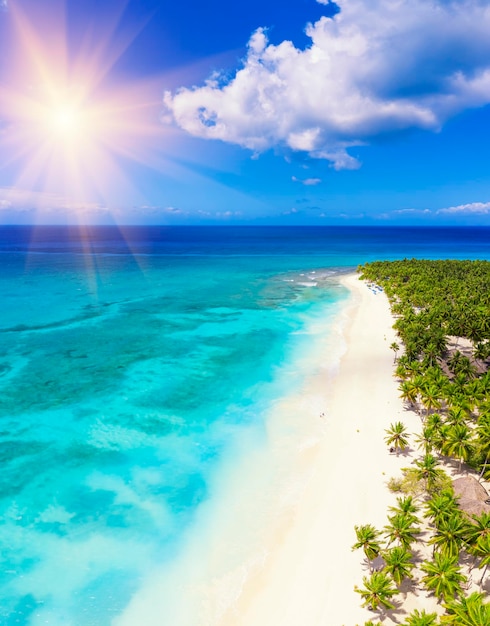 Spiaggia tropicale dei Caraibi