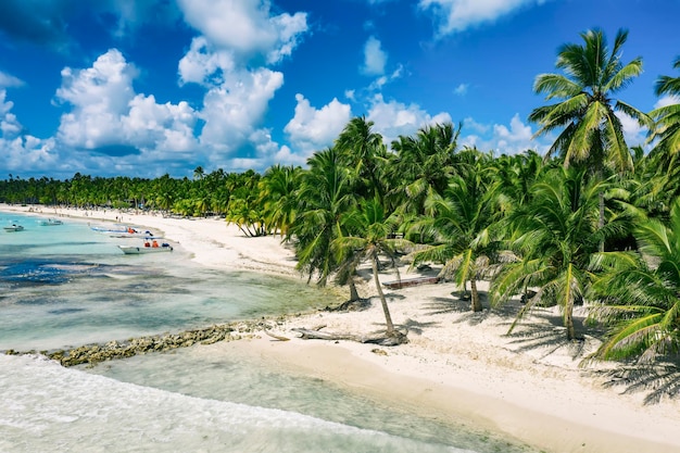 Spiaggia tropicale dei Caraibi