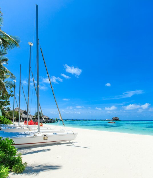 spiaggia tropicale del cielo blu e del mare sulle Maldive