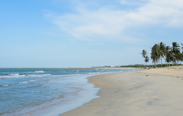 Spiaggia tropicale del mare in estate