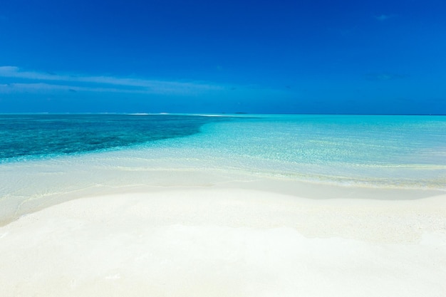 Spiaggia tropicale delle Maldive con poche palme e laguna blu