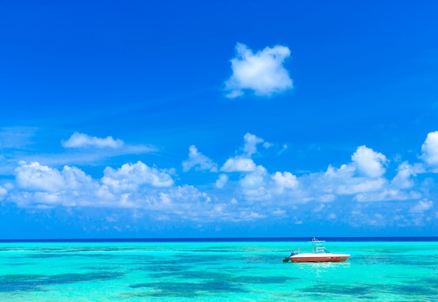 Spiaggia tropicale delle Maldive con poche palme e laguna blu