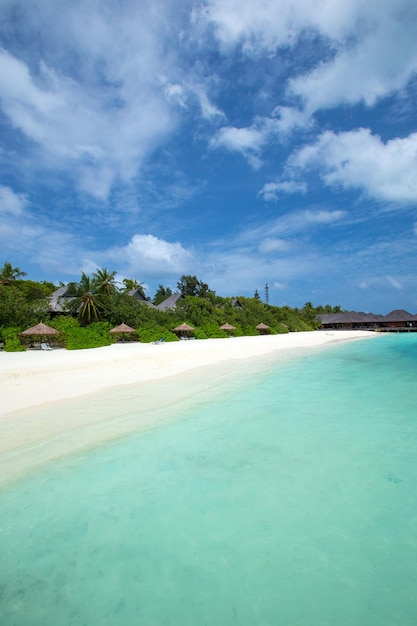 Spiaggia tropicale delle Maldive con poche palme e laguna blu