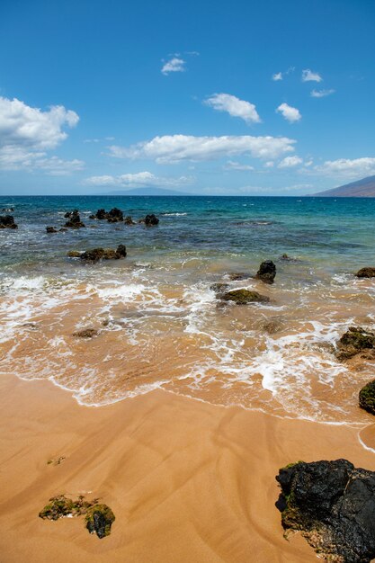 Spiaggia tropicale di estate del fondo della spiaggia del mare calmo con la vista sul mare naturale dell'acqua dell'oceano di sabbia