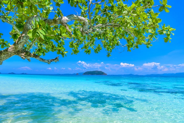 Spiaggia tropicale di paradiso sull'isola di Nyaung Oo Phee