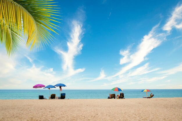 Spiaggia tropicale esotica