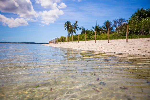 Spiaggia tropicale ideale con acqua turchese e sabbia bianca su un'isola deserta