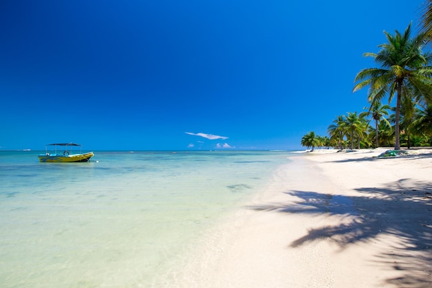 Spiaggia tropicale in Sri Lanka Vacanze estive e concetto di vacanza per il turismo