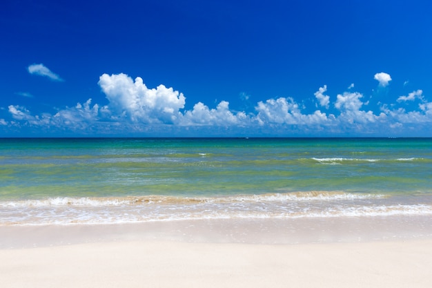 Spiaggia tropicale in Sri Lanka. Vacanze estive e concetto di vacanza per il turismo.