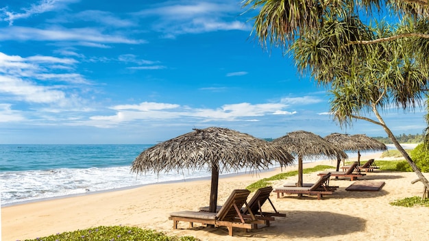 spiaggia tropicale in Sri Lanka