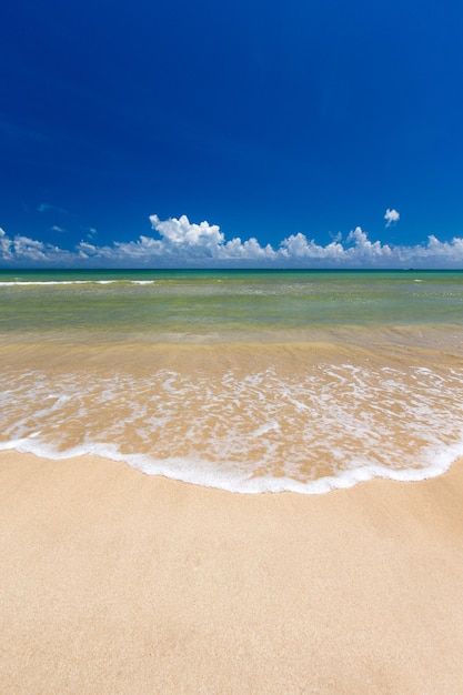 spiaggia tropicale in Sri Lanka