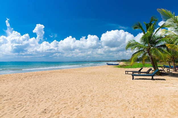 spiaggia tropicale in Sri Lanka