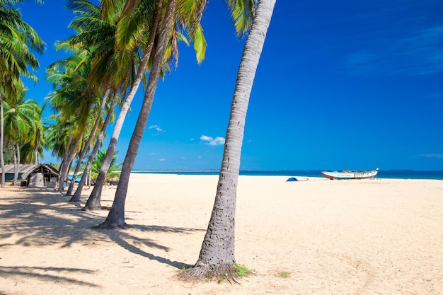 spiaggia tropicale in Sri Lanka