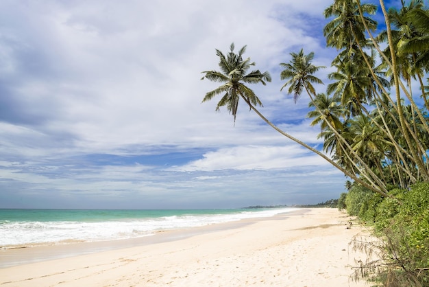 Spiaggia tropicale incontaminata nello Sri Lanka