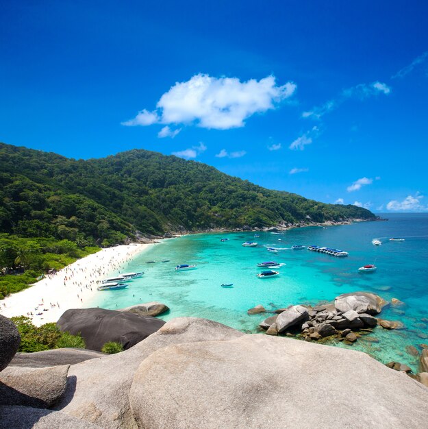 Spiaggia tropicale, Isole Similan, Mare delle Andamane, Tailandia