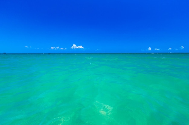 Spiaggia tropicale non trattata nello Sri Lanka