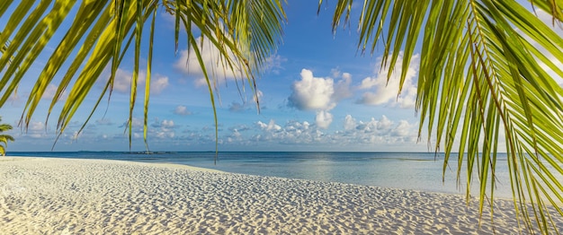 Spiaggia tropicale soleggiata con foglie di palma e acqua turchese, vacanze sull'isola, viaggi estivi