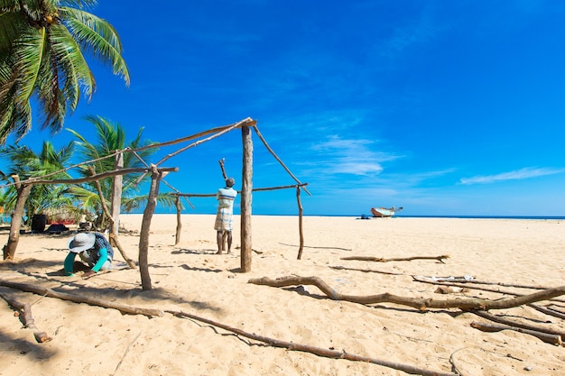 Spiaggia tropicale tra palme e laguna blu