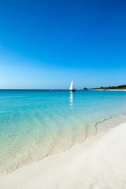 Spiaggia tropicale Vacanze estive e concetto di vacanza per il turismo