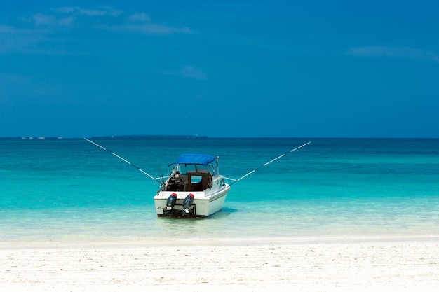 Spiaggia tropicale Vacanze estive e concetto di vacanza per il turismo