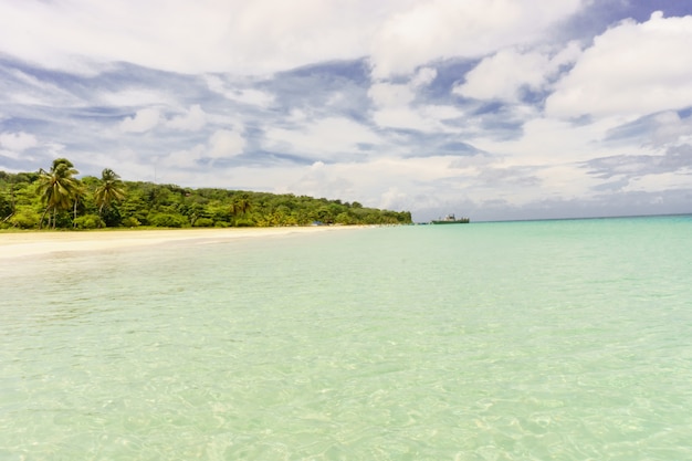 Spiaggia tropicale