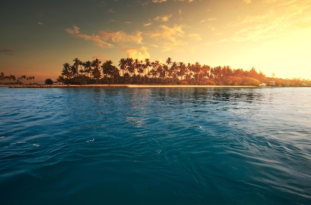 Spiaggia tropicale