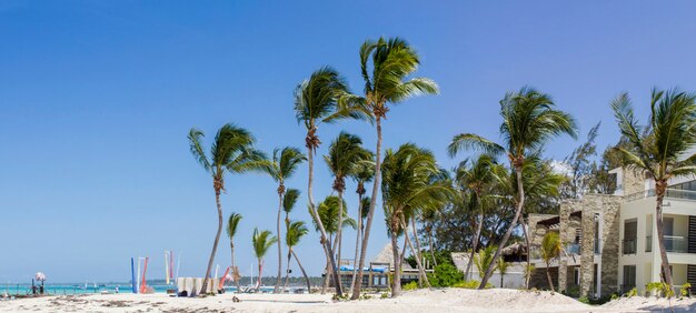 Spiaggia tropicale