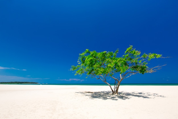 spiaggia tropicale