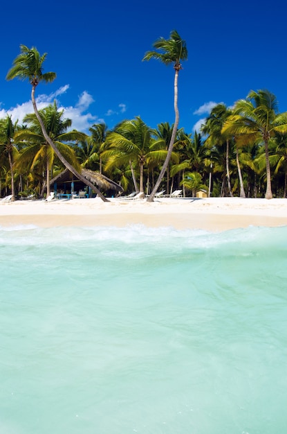 Spiaggia tropicale