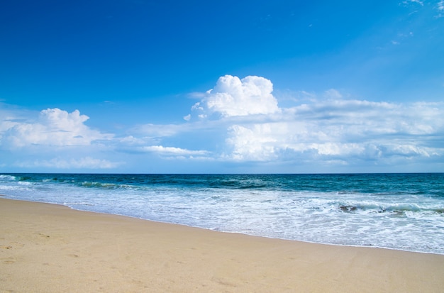 Spiaggia tropicale