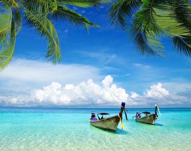 spiaggia tropicale