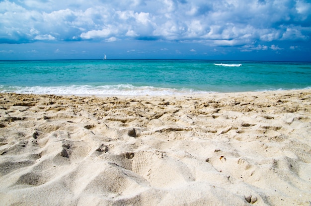 Spiaggia tropicale