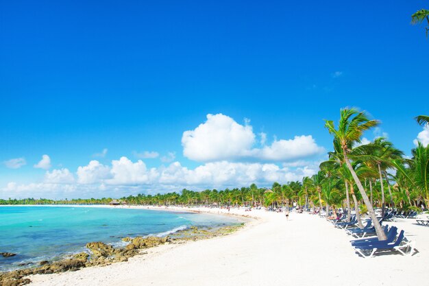 Spiaggia tropicale